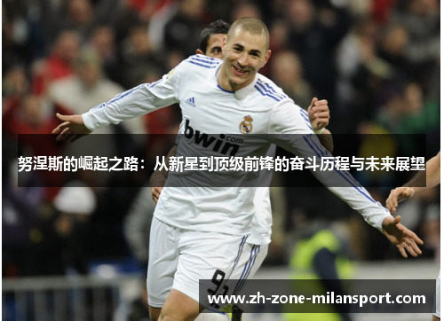 努涅斯的崛起之路：从新星到顶级前锋的奋斗历程与未来展望